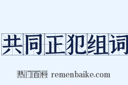 共同正犯组词是什么意思的图片